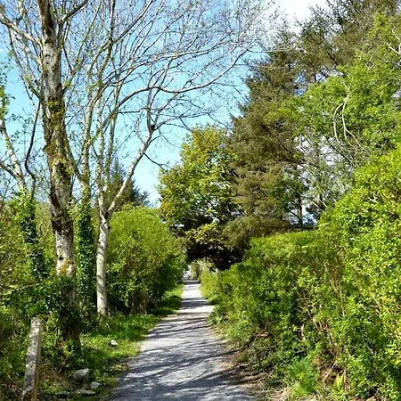 Panzió Island View Burtonport